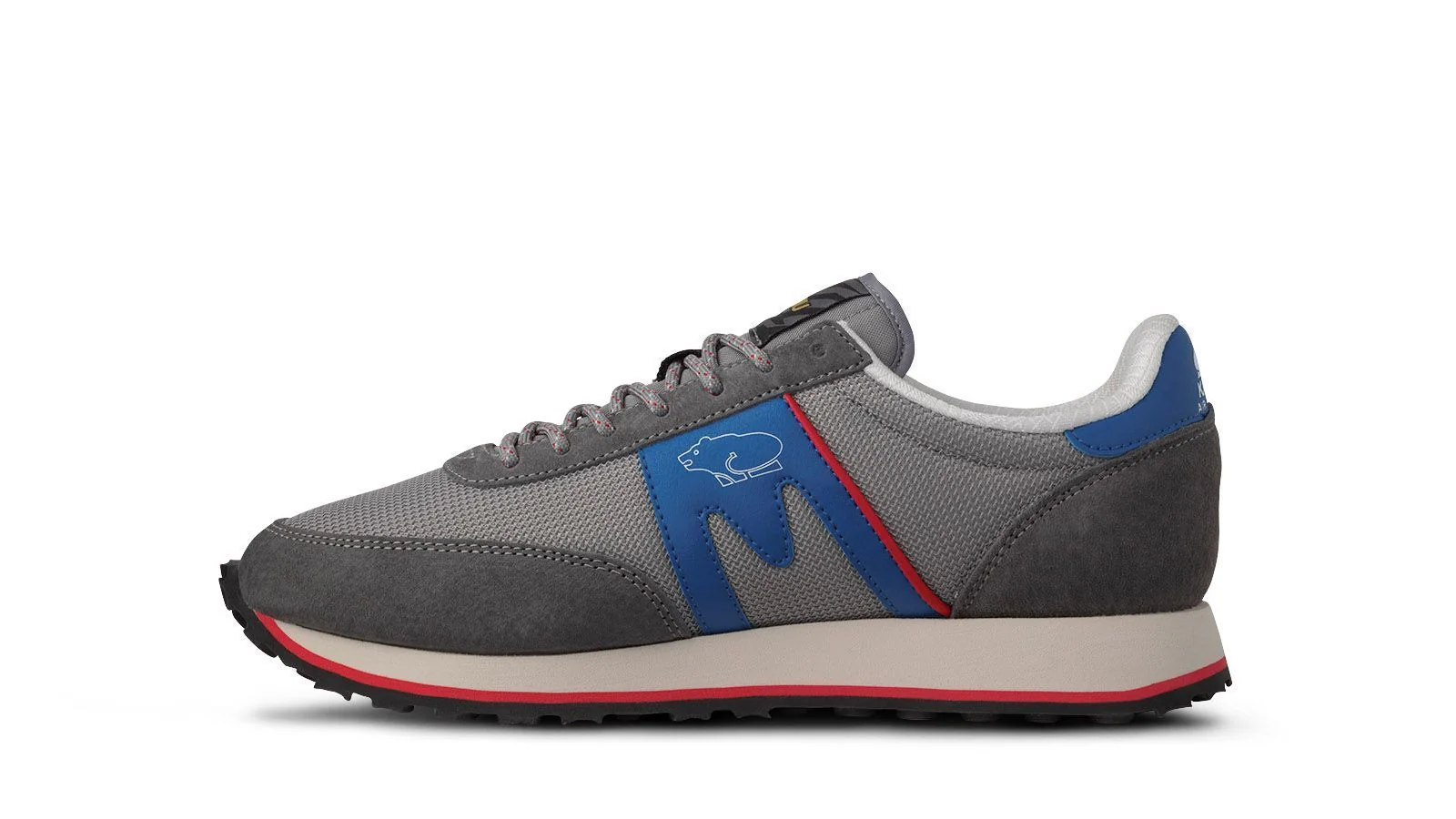 ALBATROSS CONTROL - CHARCOAL GRAY / STRONG BLUE - Image 5