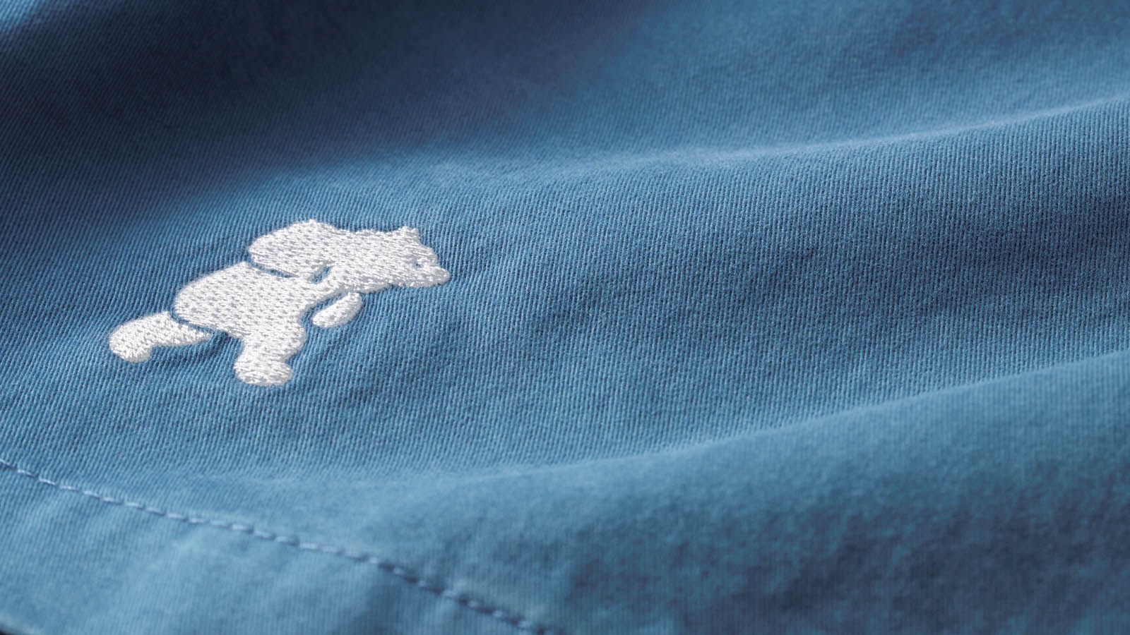 TRAMPAS SHORTS - ENSIGN BLUE / FOGGY DEW - Image 3